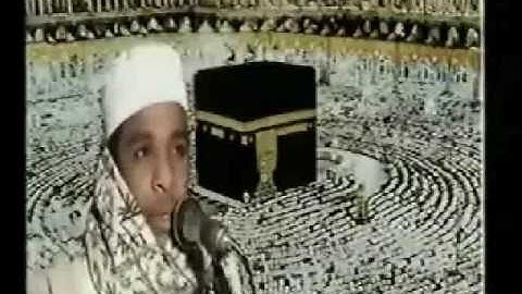 الشيخ ابراهيم الاميرمحمد صالح  سورة الملك