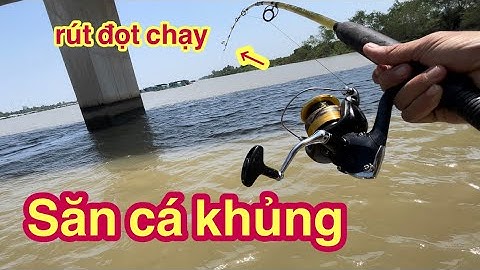Thương Vlog Một Ngày Đi Săn Cá Khủng Sông Tiền Khu Cầu Rạch Miễu Vẫn Còn Hên @Xuanthuong91