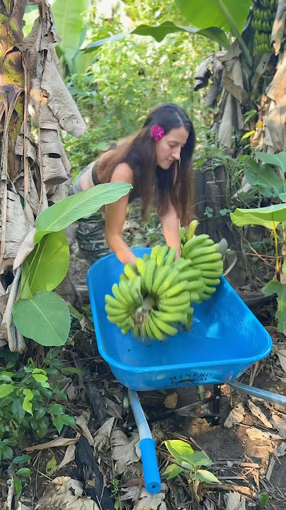 You Don’t Need a Gym When You Live Like THIS in the Jungle 💪🌴 (Raw Wild Life Workout!)