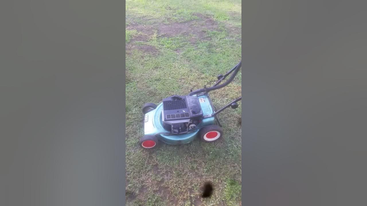 Victa 2 stroke power torque . YouTube