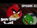 Youtube Thumbnail Angry Birds Toons | Eggs' Day Out - S1 Ep22