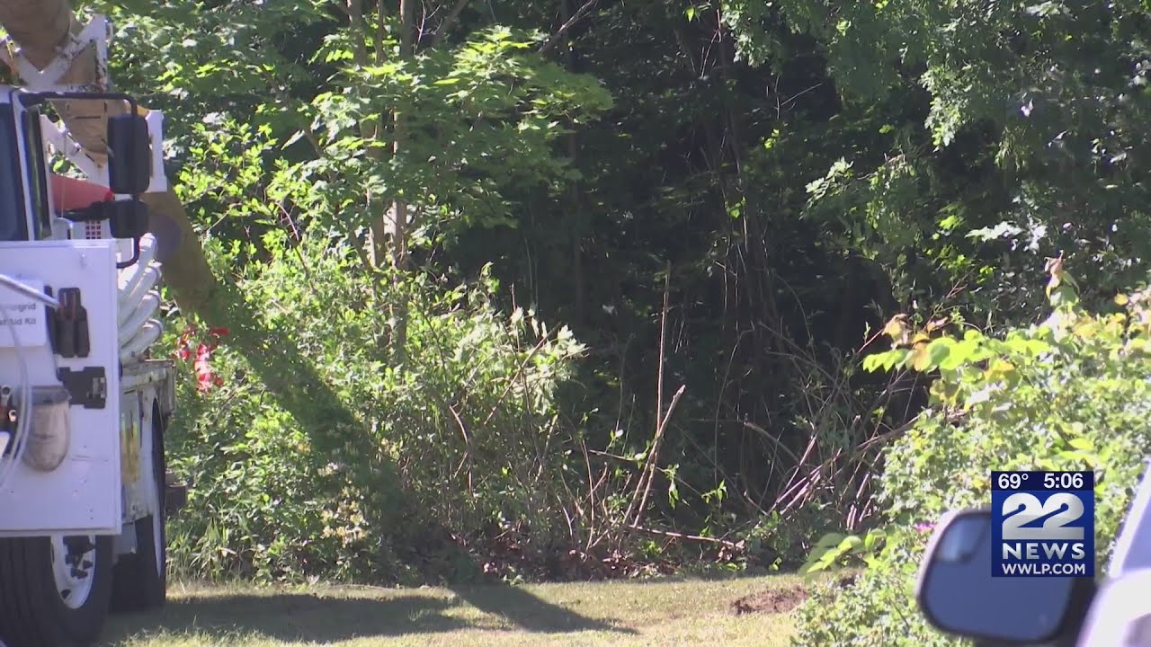 Three dead following car accident in Brimfield YouTube