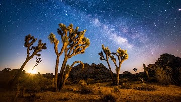 MAGICAL DESERT (Joshua Tree) Relaxing Music, Study, Deep Sleep, Meditatoin Music