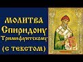 Молитва Святителю Спиридону Тримифунтскому (Аудио С Текстом и Иконами)