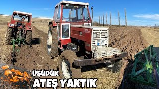 Tarlalari Sürerken Hava Karardi, Üşüdük Ateş Yaktiksteyr 8073