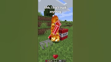 Types of OG Minecraft Players