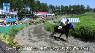 草競馬大会：走る走るポニー土煙を上げて　高ボッチ高原