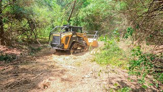 One Acre Lot Clearing with iDigit4 Forestry Mulching