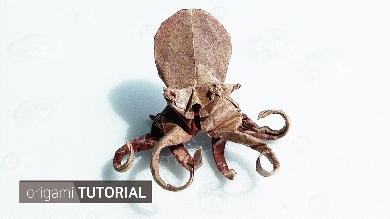 문어 종이접기 Octopus Origami designed by Yojiro Sakai