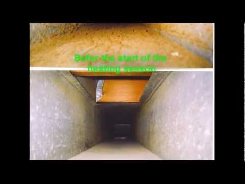 Roofing Service Group