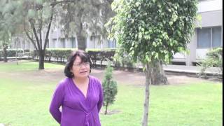 Qué es una presentación