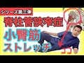 【脊柱管狭窄症　完治】脊柱管狭窄症を治す小臀筋ストレッチ。ガンコなシビレはこれで改善！