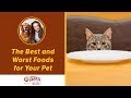 The Best and Worst Foods for Your Pet