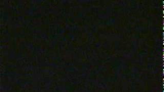 20101122 ana 3