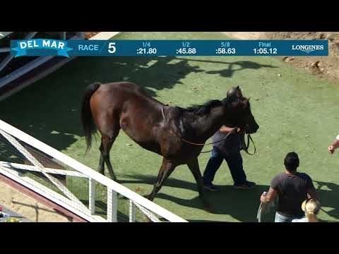 Race 5 Thumbnail