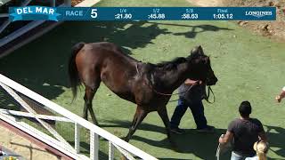 Vidéo de la course PMU RACE 5