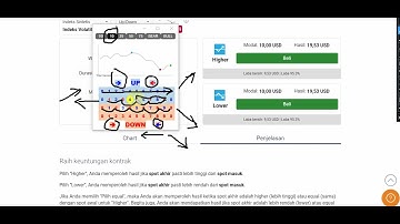 Binary Rise Fall Strategy Digit LDP Analyzer