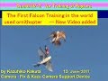 Duck61iV-2 for Training of Raptors : The First Falcon Training used Ornithopter in world - New Ver.