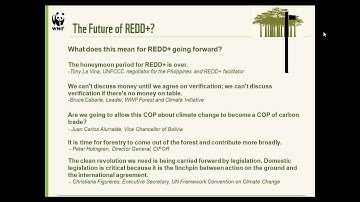 REDD+ Learning Session 6: UNFCCC-COP18, Outcomes and Next Steps