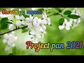 Project pan . Использовать и выбросить. Отчёт за апрель 2021