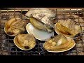 今回の食材は、アサリです・・・　平戸・エビス亭