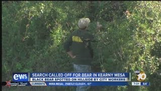 Search for bear reportedly seen in Kearny Mesa near sheriff's dept. building called off