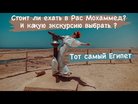 Стоит ли ехать в Рас Мохаммед? Вся правда о маршрутах в заповедник. Экскурсии от Лены, Шарм Эль Шейх