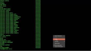 How to list all installed packages on Linux