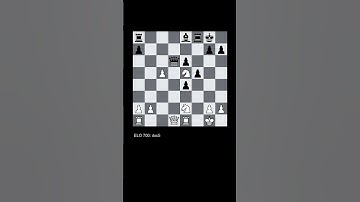 Human Decisions in Chess