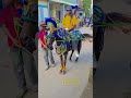 dance horse