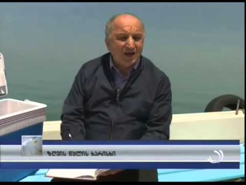 ზღვის წყლის ხარისხი