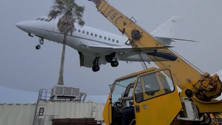 Tree service shuts down airport for 1 hour