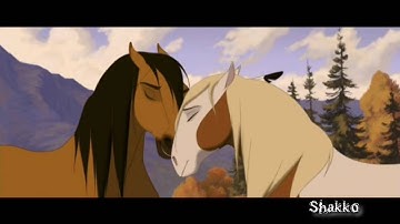 Stand In The Rain~MEP