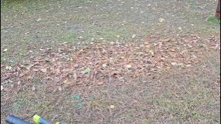 Ryobi one  18v leaf blower review part 2