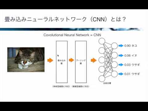 【レクチャー: CNNの概要 】AIパーフェクトマスター講座 -Google Colaboratoryで隅々まで学ぶ実用的な人工知能/機械学習-