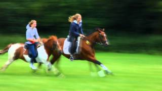 Smoke Weed Everyday Jojo Was Here