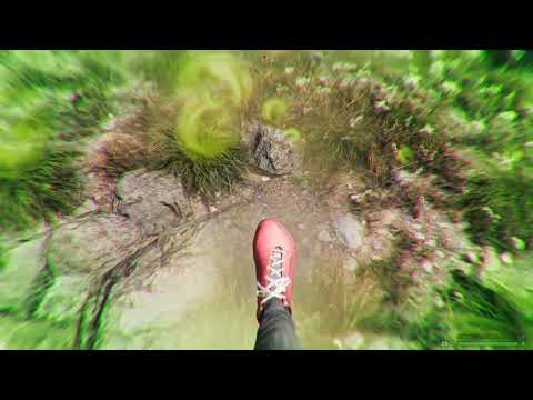 Far Cry 5 / Охота на скунса