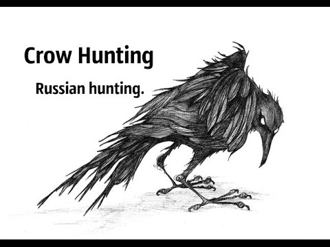 Видео: Russian hunting. Crow Hunting. Испытание нового прицела Carl Zeiss 4-16x40