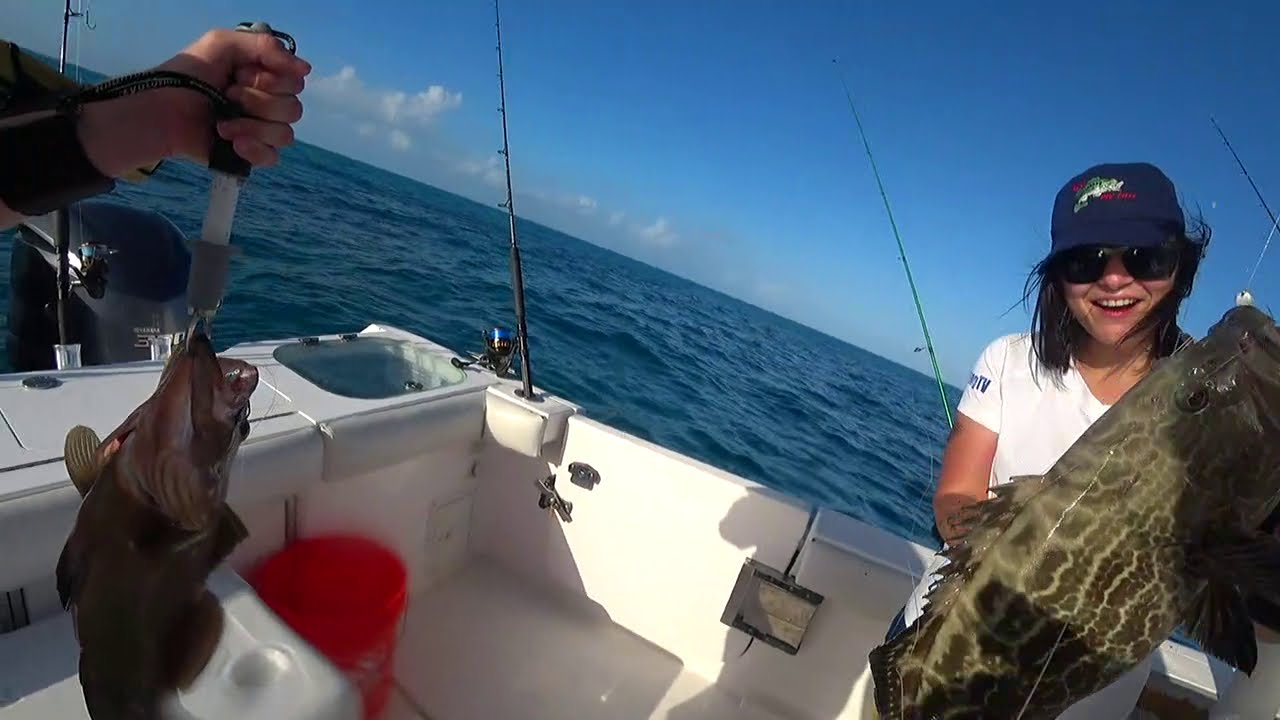 Black and Red GROUPERS for GatorGangTV! LIVE on Twitch.tv!