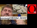 Кадыризация рф идет полным ходом. Депутинизация оформлена