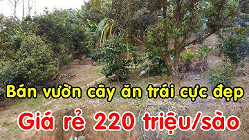 Bán đất vườn cây ăn trái dày đẹp, 80m mặt đường lớn, giá rẻ chỉ 220tr/sào tại Bảo Lâm, Lâm Đồng