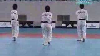 New Kukkiwon Poomsae-Peacock? bikak?