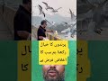 #birds #viral #foryou #food #shorts