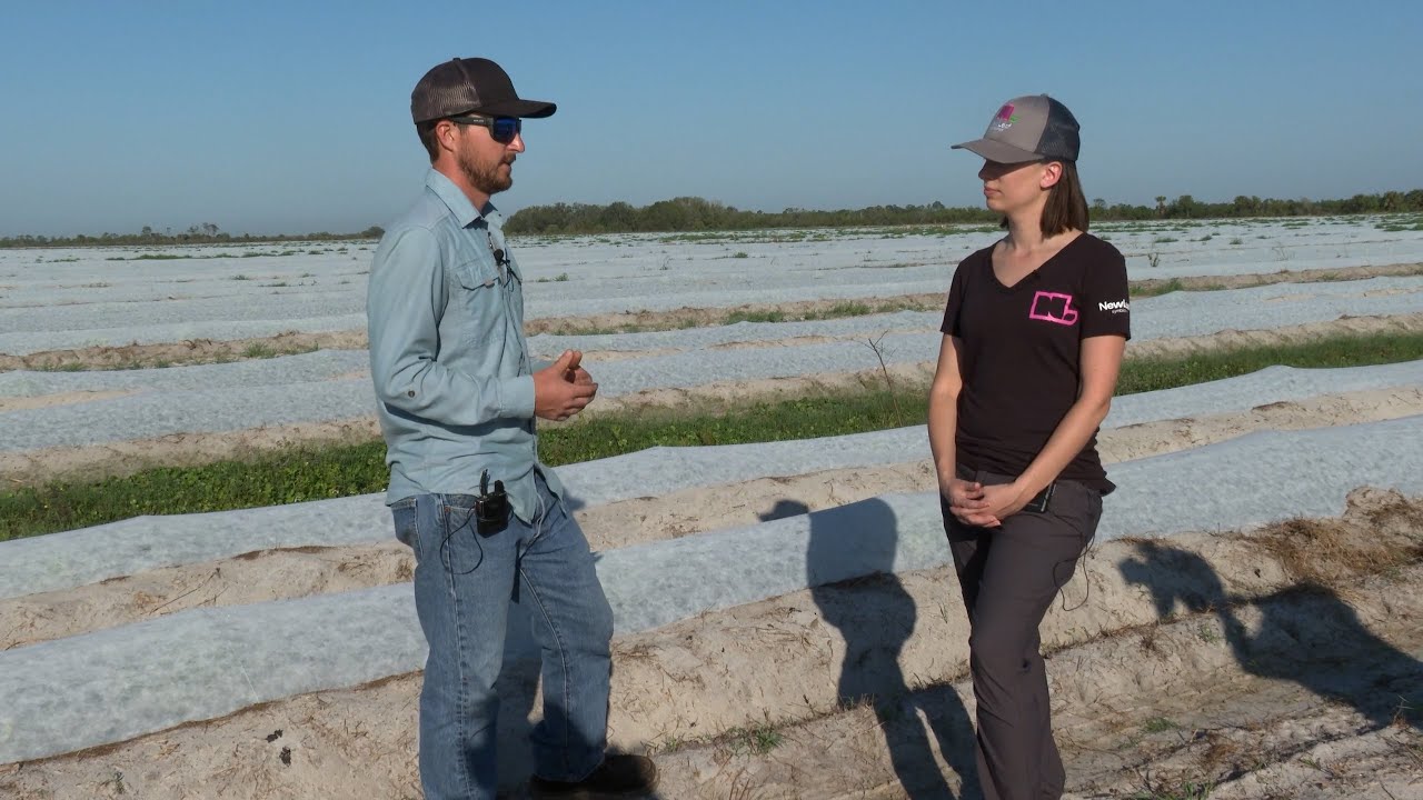 Ep. 1: Watermelons at JDI Farms
