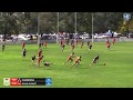 Neafl tv highlight tom fauls early goty contender