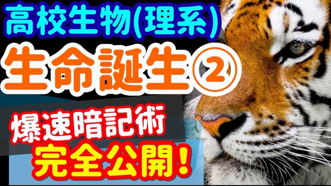 High School Biology 68] Evolution [The Birth of Life ②] in