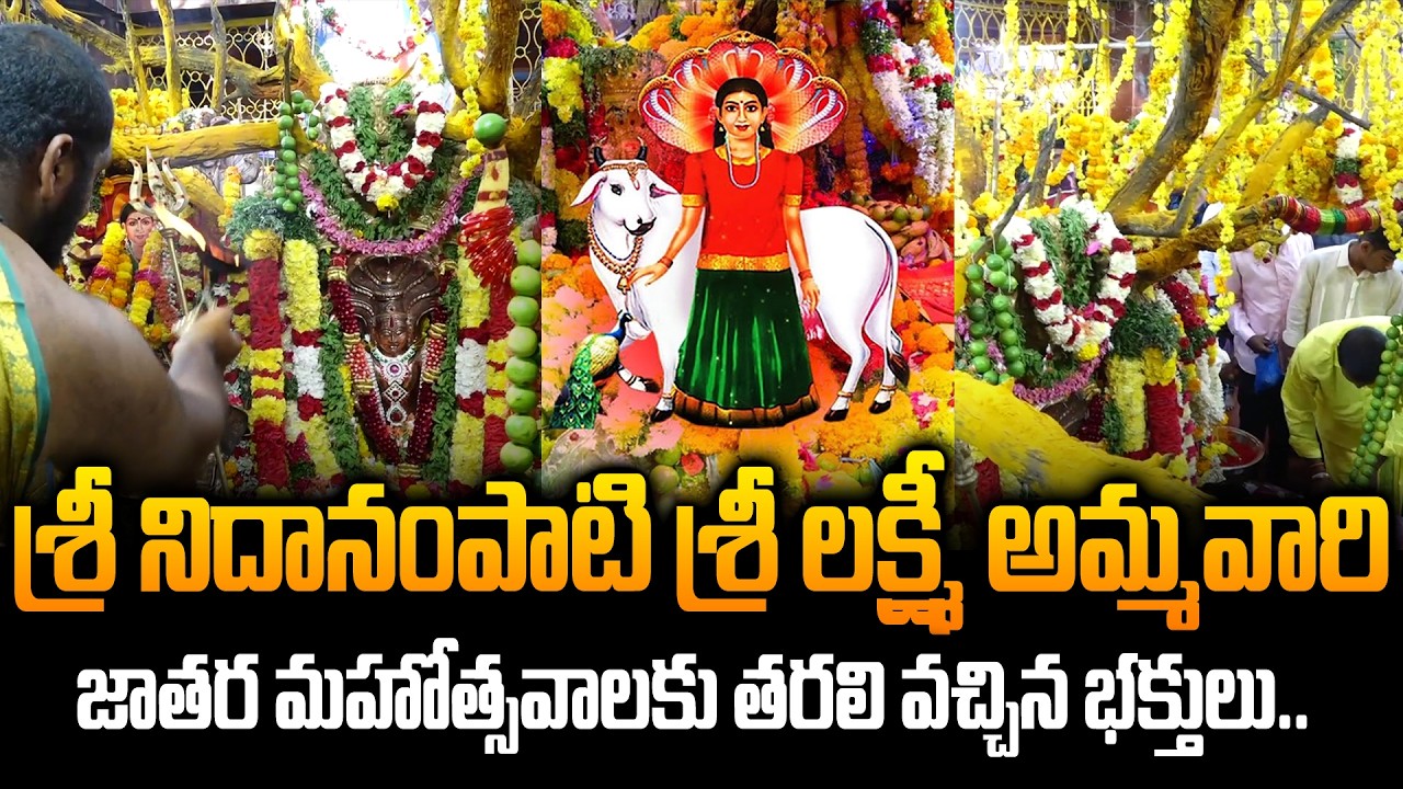 జాతర మహోత్సవాలకు తరలి వచ్చిన భక్తులు.. Sri Nidanampati Ammavaru || Adigoppula