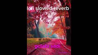 Gulabi sadi (lofi slowed reverb) song