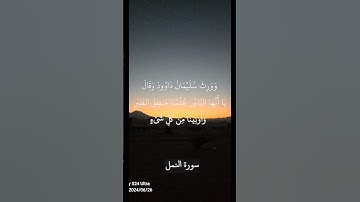 اسعد الله صباحكم بكل خير آيات من سورة النمل#صباح_الخير #اللهم_صلي_على_نبينا_محمد #قران_كريم