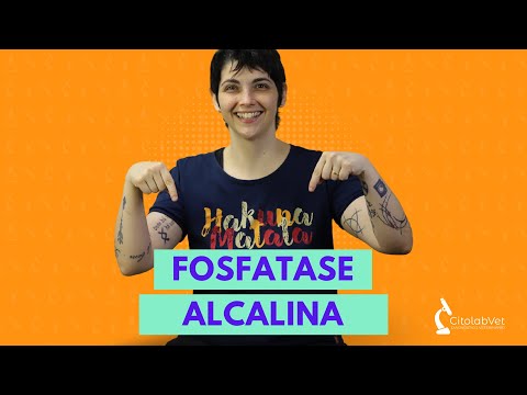 Vídeo: 3 maneiras de aumentar os níveis de fosfatase alcalina